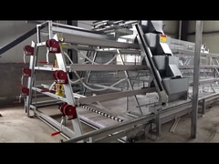 Lồng đẻ trứng trang trại gia cầm loại A 4 tầng