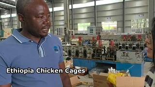 Phản hồi của khách hàng