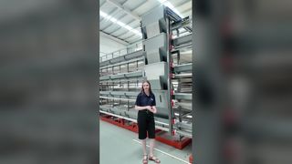 Hệ thống lồng gà thịt/Lớp đẻ tự động tối đa hóa lợi nhuận trang trại gia cầm