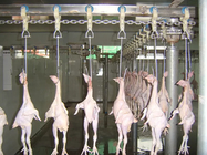 500BPH-10000BPH Halal Chicken Abattoir Slaughter Line Machine Slaughtering Equipment