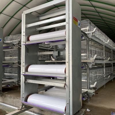 Automatic H-Type Broiler Battery Cage System for Commercial Meat Chicken Farms with Hot-Dip Galvanized Frame and 3-4 Tiers Configuration
