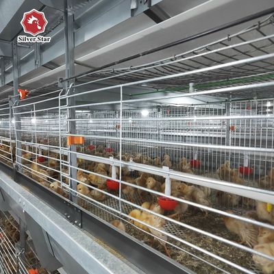 Automated H-Type Broiler Cage System Hot-Dip Galvanized Full Automatic High-Density Poultry Farming Equipment