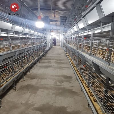 Fully Automatic H-Type Broiler Cage System for High-Density Rearing with Hot-Dip Galvanized Frame