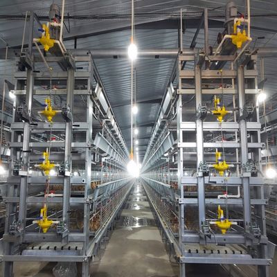 4Tiers Broiler Chicken Cages Battery Cage for 4Tiers Baby Chick Cage Poultry Farming Equipment Automatic System