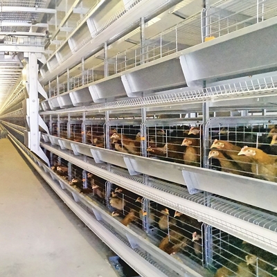 Philippines Galvanized Egg Layer Chicken Cage H Type 68KG ISO9001