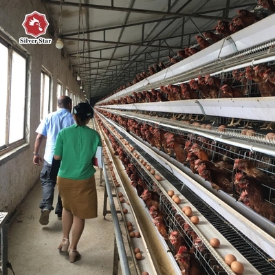3Rows 28sets / Row A Type Wire Poultry Cage Farming Hens Equipments