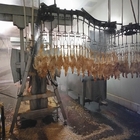 500BPH Automatic Poultry Slaughtering Equipment Chicken Slaughter Line