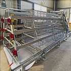 Full Automatic A Type Poultry Broiler Chicken Cage House Poultry Farming Equipment