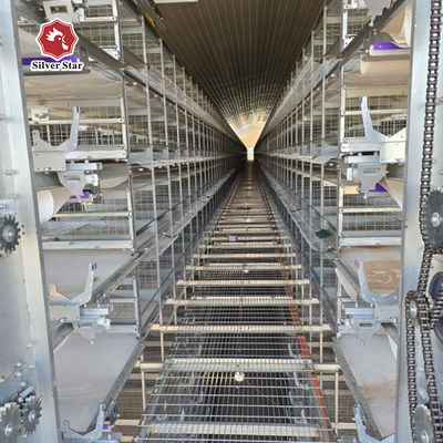 Hot-Dip Galvanized Layer Chicken Cage with Automatic Feeding, Egg Collection, and Manure Removal System