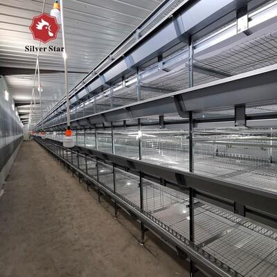 Hot-Dip Galvanized Battery Chicken Cage with Automatic Feeding for Large Poultry Farm Projects