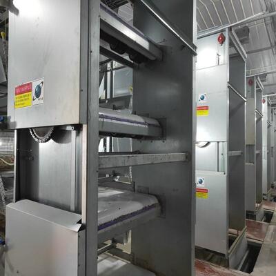 Full Automatic H-Type Layer Chicken Cage with Hot Dip Galvanized Drinkers and Feeders for Poultry Farm