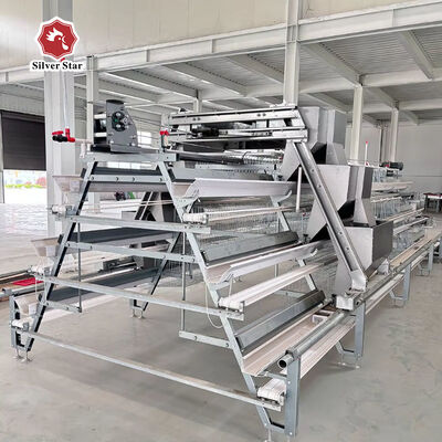 A Type Layer Chicken Cage with Hot-Dip Galvanized Steel and Automatic Feeding System for Poultry Farms