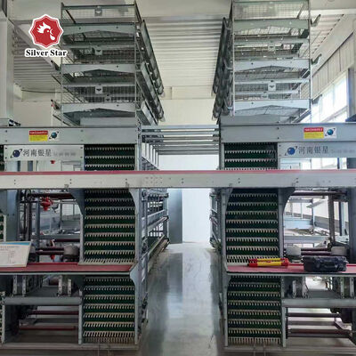 Hot-Dip Galvanized Battery Chicken Cage with Automatic Feeding for Large Poultry Farm Projects