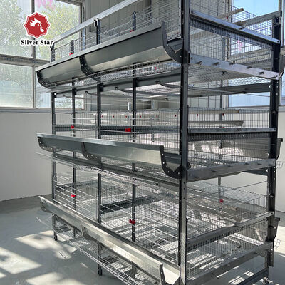 Layer Chicken Cage Manufacturer Automatic Feeding & Drinking System For Egg Layer Chicken