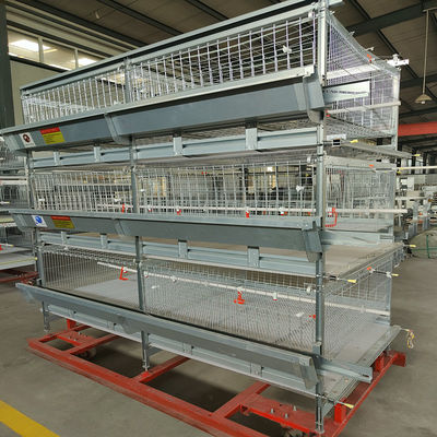 Low Noise H Type Battery Cage For Broilers With Automatic Feeding System