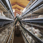 Hot Galvanized Battery Chicken Cage For Broiler 17 Chicks / Cell