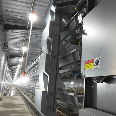 Automated H-Type Broiler Cage System - High-Density Hot-Dip Galvanized Poultry Farming Equipment