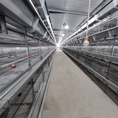 Automated H-Type Broiler Cage System - High-Density Hot-Dip Galvanized Poultry Farming Equipment