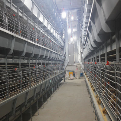 H-Type Automatic Layer Battery Cage System with 15-20 Years Service Life for Commercial Poultry Farming - Fully Automated & Hot-Dip Galvanized