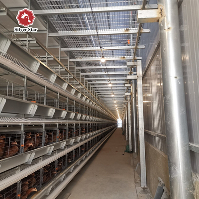 Q235 A / H Frame Chicken Poultry Cage 3-10Floors With Egg Collection