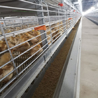 Automatic H Type Battery Cage Poultry Drinking System