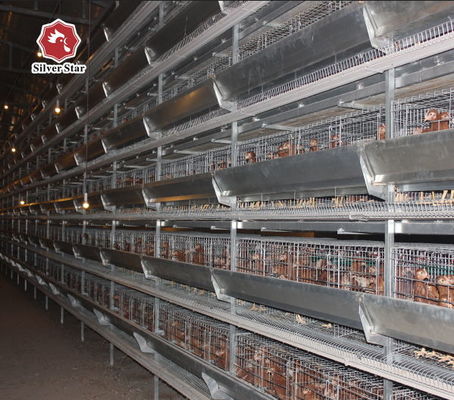 Factory Direct H-Type Broiler Battery Cage System with Hot-Dip Galvanizing, Soft Plastic Mats & Automated Manure Cleaning for Commercial Meat Chicken Farms