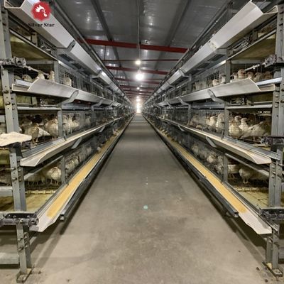 Hệ thống lồng pin tự động kiểu H cho các trang trại nuôi gà thịt thương mại với khung galvanized nóng và cấu hình 3-4 lớp