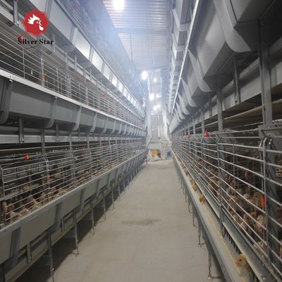 Automated H-Type Broiler Cage System for High-Density Commercial Poultry Farming with Hot-Dip Galvanized Protection