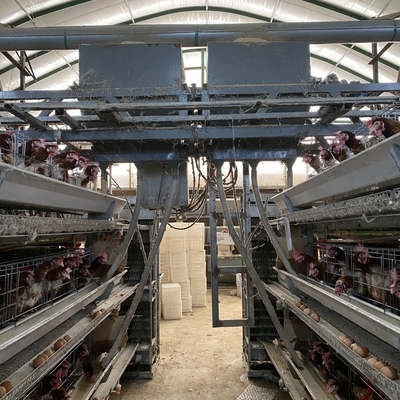 Gia Cầm H Loại 3 Tầng 4 Tầng Gà Đẻ Trứng Gà Lồng