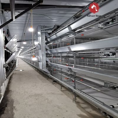 Fully Automatic H-Type Broiler Cage System for High-Density Rearing with Hot-Dip Galvanized Frame