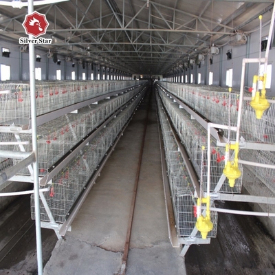 43*41Cm Full Automatic Battery Chicken Cage System U Type Galvanized Silver Color