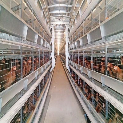 Philippines Galvanized Egg Layer Chicken Cage H Type 68KG ISO9001