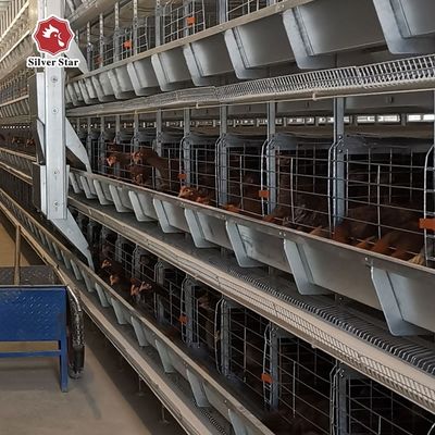 Hệ thống lồng pin tự động loại H cho trang trại gia cầm thương mại - Mạ kẽm nhúng nóng, Thu gom trứng tự động, Tuổi thọ 15-20 năm