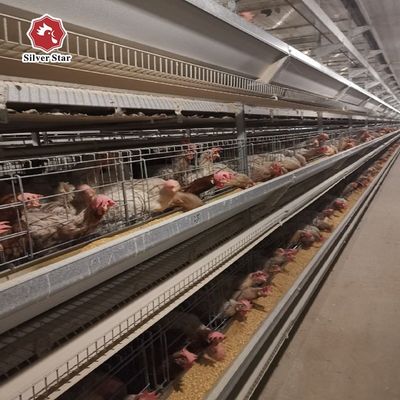 Hệ thống lồng gà lớp H. Thiết bị gia cầm tự động cho các trang trại trứng thương mại