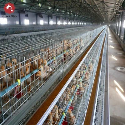 Automatic Chick Breeding Cages A type Broiler Cages Broiler Chicken Cage System