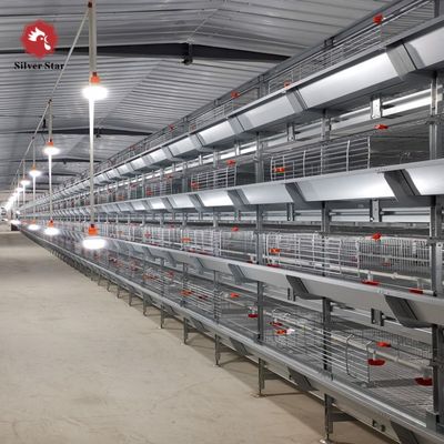 Automated H-Type Broiler Cage System - Full Automatic Hot Galvanized High-Density Poultry Farming Equipment