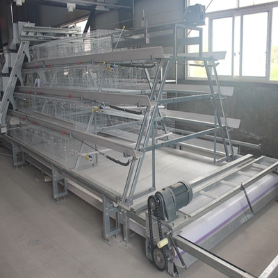A Type Layer Manure Cage Hot Dip Galvanized Cage Broiler On Poultry Farm