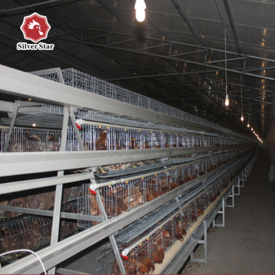 Hot Dip Galvanized Egg Layer Chicken Cage A Type Battery 96 Birds 128 Birds Poultry Farm