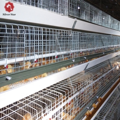 3 Tiers A Type Broiler Chicken Cages 128 Layers H Type Chicken Breeding Cage