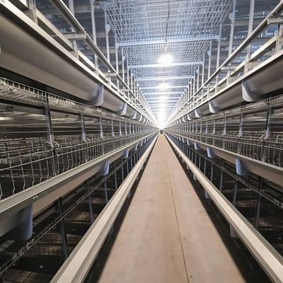 Automatic H-Type Layer Battery Cage System for Commercial Chicken Farms with Hot-Dip Galvanized Steel and Automated Egg Collection in 3-8 Tiers