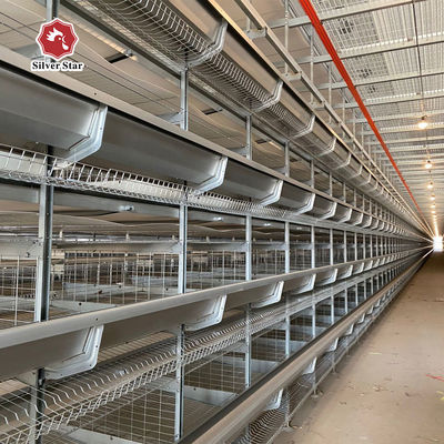 Thiết bị trang trại gia cầm tự động Hệ thống chuồng gà dùng pin loại H mật độ cao cho trang trại sản xuất trứng