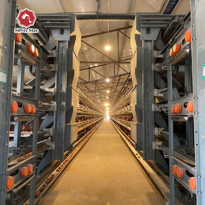 Hệ thống lồng pin tự động H-Type cho Layer & Broiler.