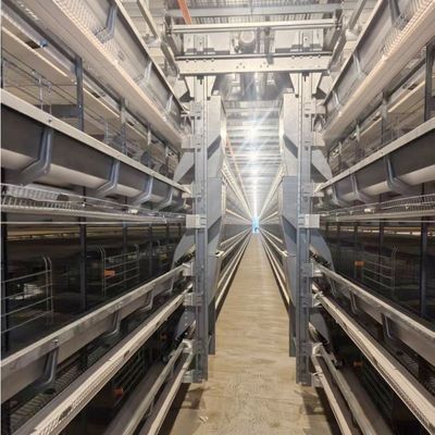 Standard Layer Chicken Cage for Optimal Space Utilization and Durable Poultry Rearing