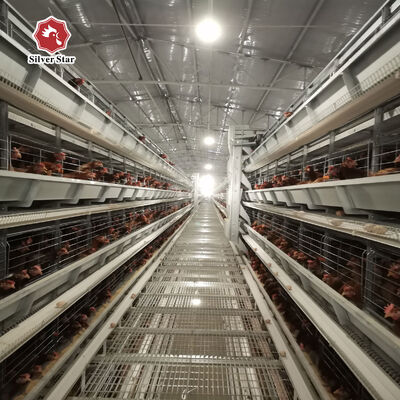 Lồng gà đẻ kiểu H với tuổi thọ 20 năm cho 54-216 con gà mái trong 3-8 tầng