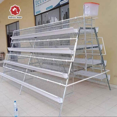 A-Type Broiler Battery Cage System for Poultry Farm Hot-Dip Galvanized A-Type Broiler Cage Manufacturer