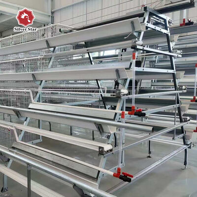 Hệ thống lồng gà lớp A hiệu quả về chi phí với thiết kế 3 tầng / 4 tầng, thép kẽm nóng và cho ăn tự động cho các trang trại gia cầm