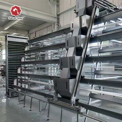 Một lồng gà lớp loại với thép kẽm nóng và hệ thống cho ăn tự động cho các trang trại gia cầm