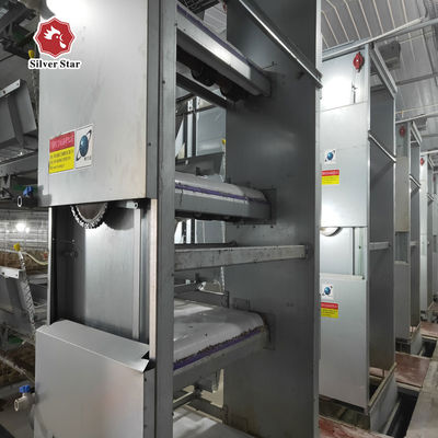 H Type New Design Broiler Battery Cage System For Chicken Farm