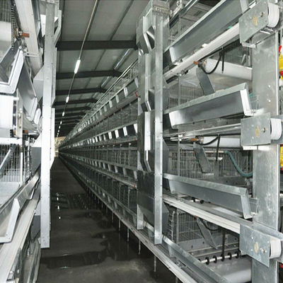 Hệ thống lồng pin tự động H-Type với mạ nóng và thiết kế mô-đun xếp chồng cho nuôi gia cầm thương mại