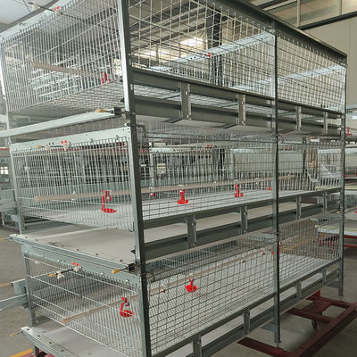 Automated H-Type Broiler Cage System - High-Density Hot-Dip Galvanized Poultry Farming Equipment